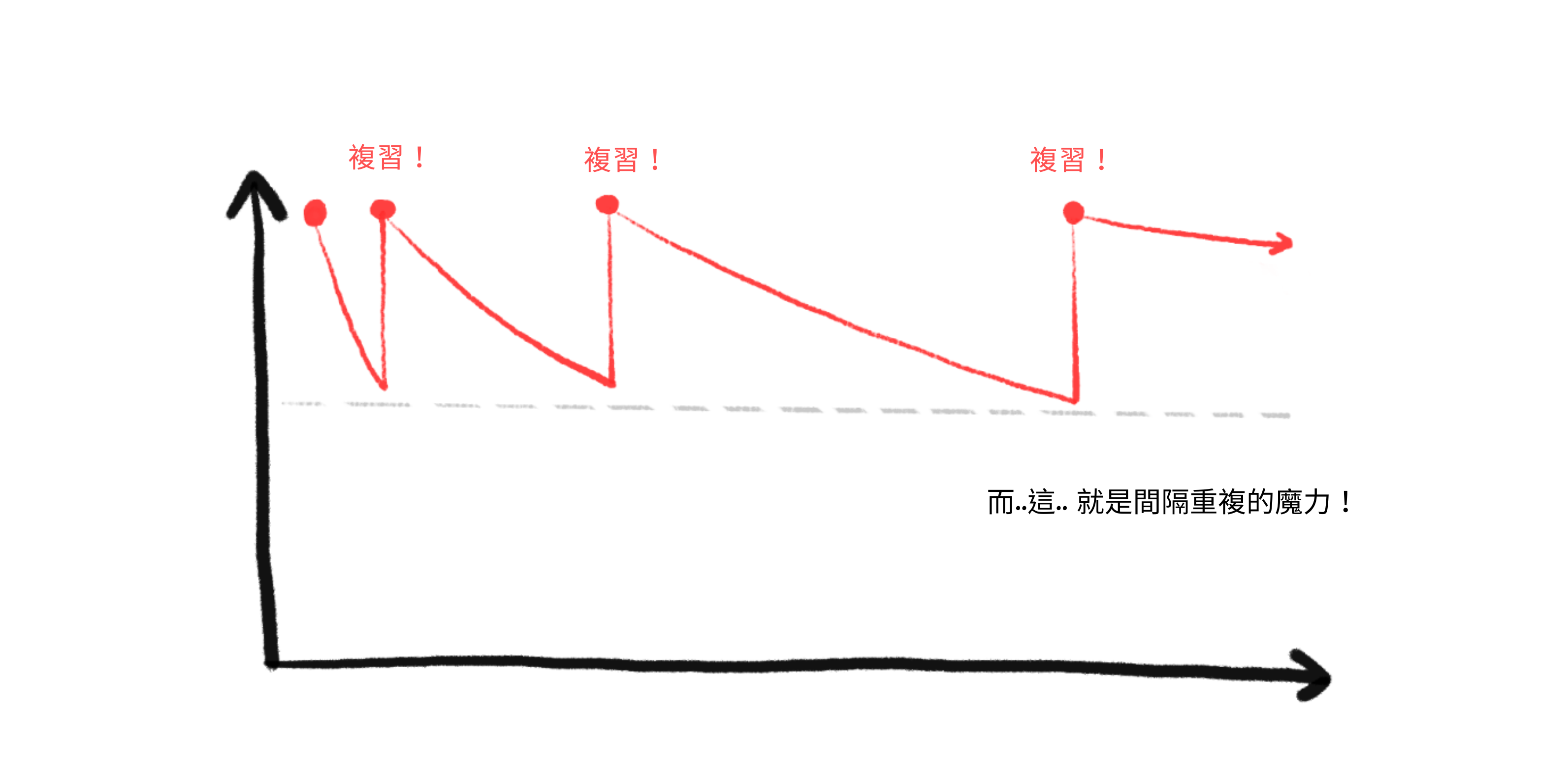 隨著越來越多的複習，遺忘曲線變得更平坦。