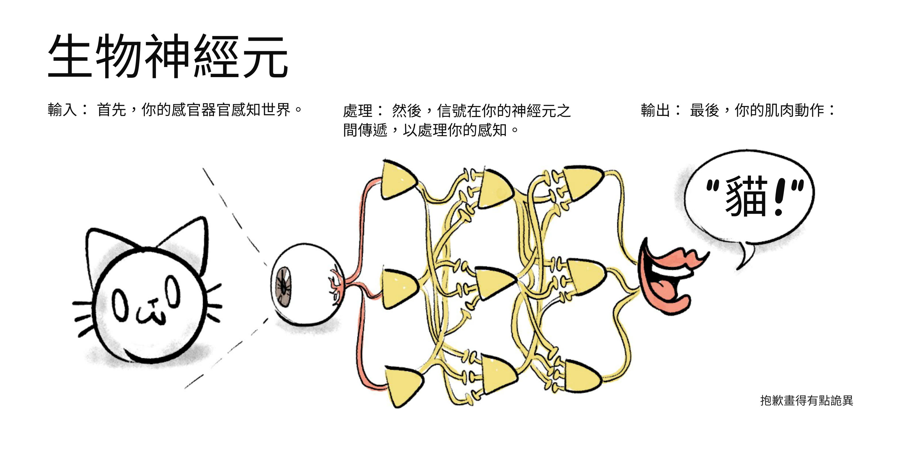 生物神經網路示意圖。輸入：你的感覺器官。處理：神經元之間傳送的訊號。輸出：你的肌肉。